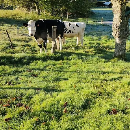 8 Pers, Maisonnette En Bordure De Foret Vosgienne Ferienhaus Barbey-Seroux