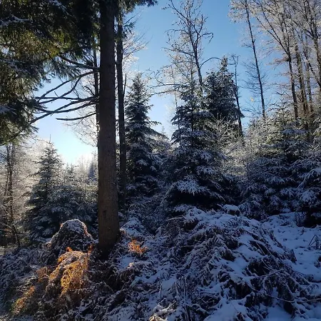 8 Pers, Maisonnette En Bordure De Foret Vosgienne *