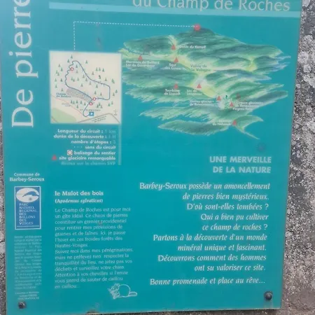 8 Pers, Maisonnette En Bordure De Foret Vosgienne