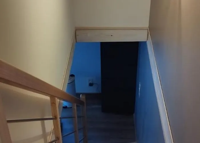 8 Pers, Maisonnette En Bordure De Foret Vosgienne *