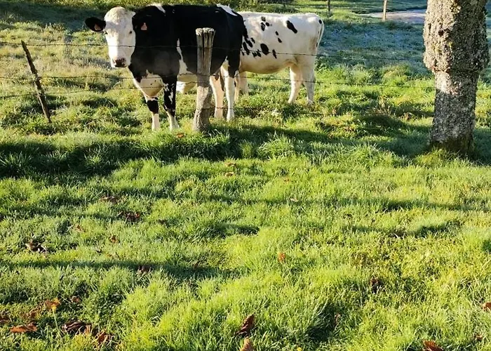 8 Pers, Maisonnette En Bordure De Foret Vosgienne Prázdninový dům Barbey-Seroux