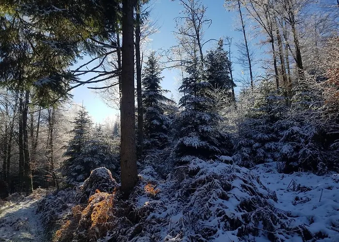 8 Pers, Maisonnette En Bordure De Foret Vosgienne *