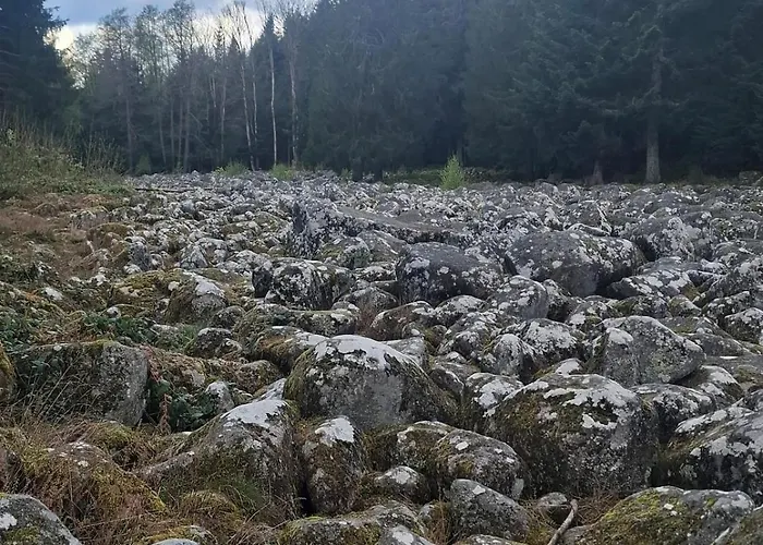8 Pers, Maisonnette En Bordure De Foret Vosgienne * Barbey-Seroux