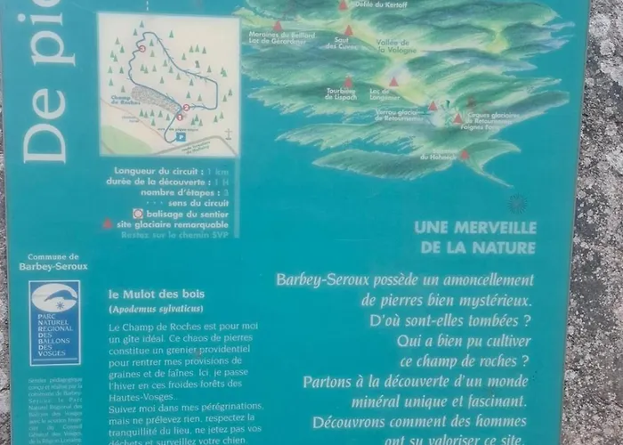 8 Pers, Maisonnette En Bordure De Foret Vosgienne