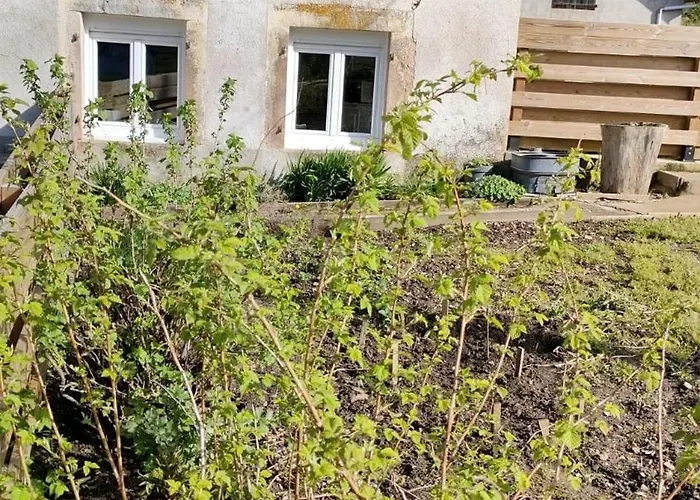 Prázdninový dům 8 Pers, Maisonnette En Bordure De Foret Vosgienne